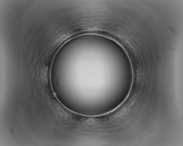 X0000111601265200907161546