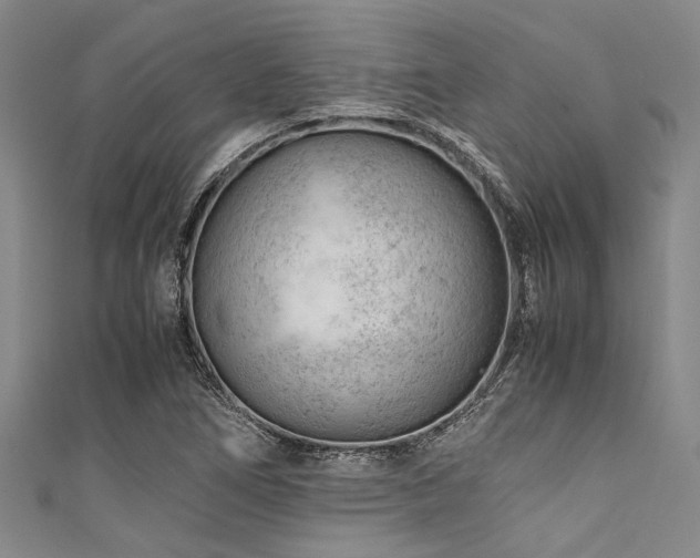X0000111601266200907161546