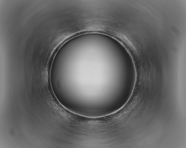 X0000111601268200907161546