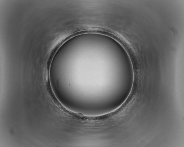X0000111601269200907161546