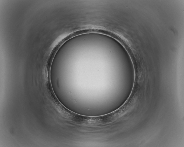 X0000111601271200907161545