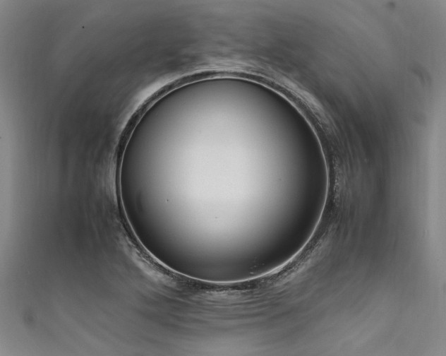 X0000111601272200907161545