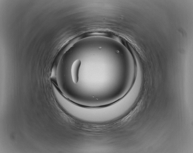 X0000111601273200907161545