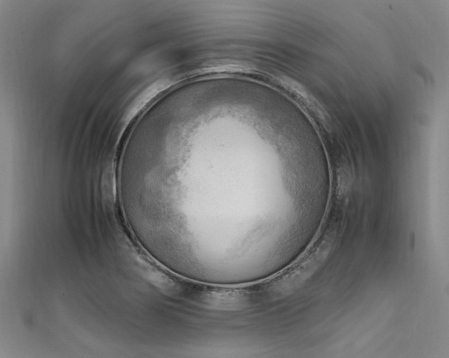 X0000111601274200907161545