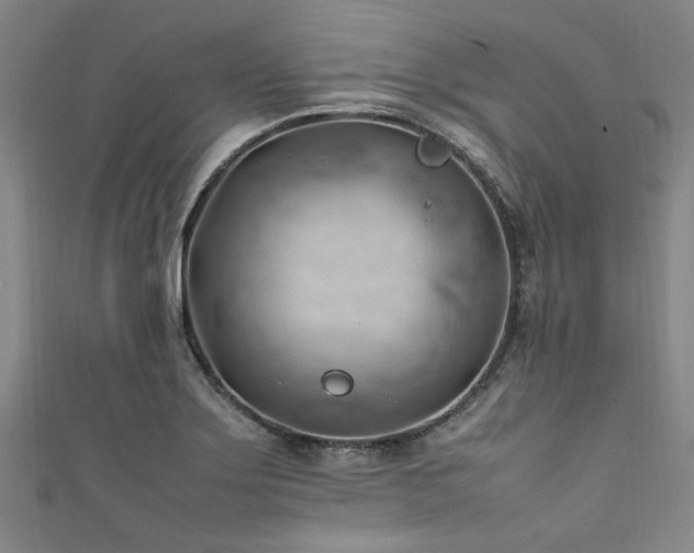 X0000111601275200907161545