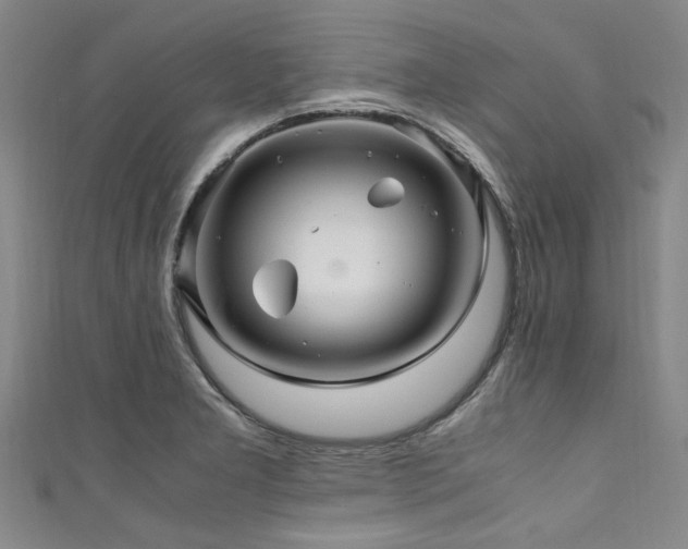 X0000111601277200907161545