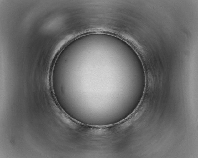 X0000111601278200907161545