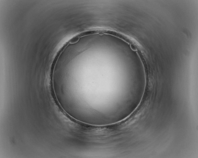 X0000111601279200907161545