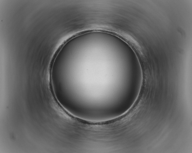 X0000111601280200907161545