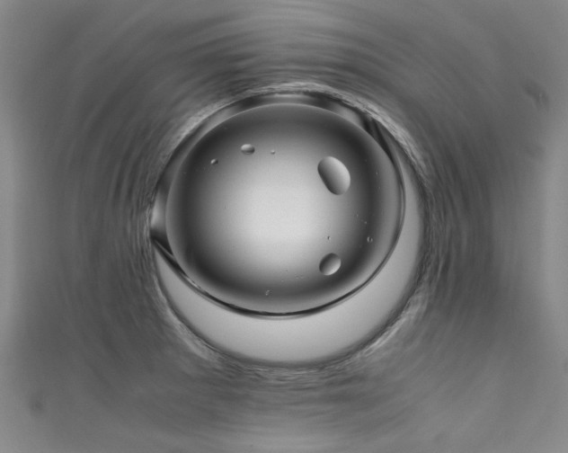 X0000111601281200907161545