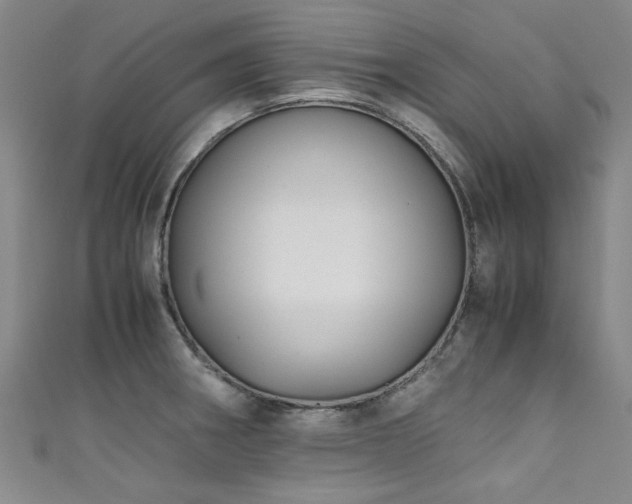 X0000111601282200907161545