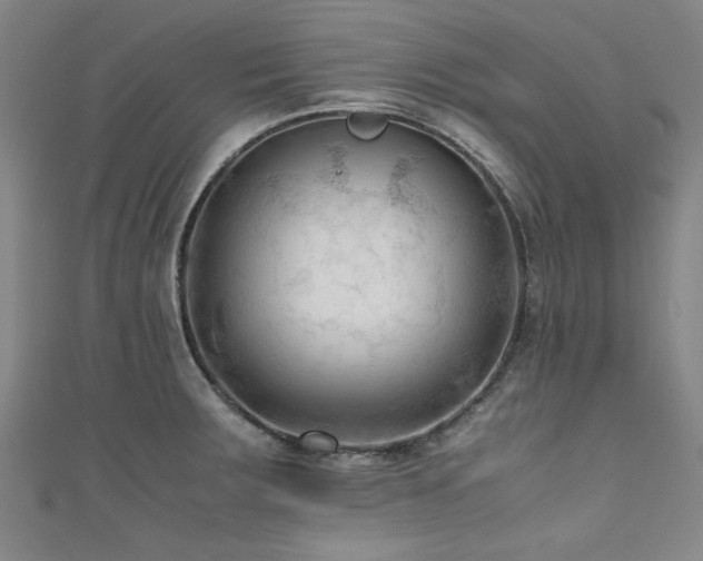 X0000111601283200907161545