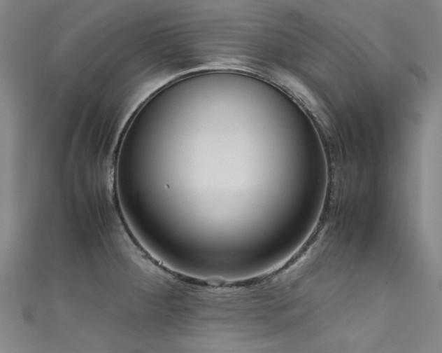 X0000111601284200907161545