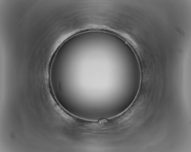 X0000111601287200907161545