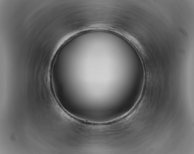 X0000111601288200907161545