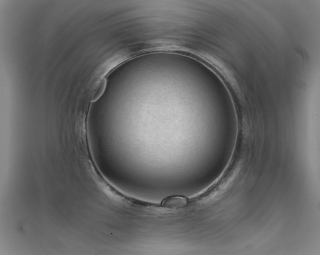 X0000111601289200907161545