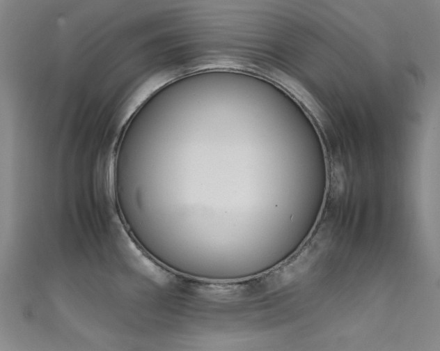 X0000111601290200907161545