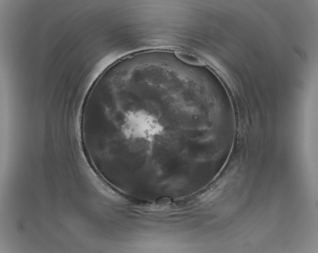 X0000111601291200907161545