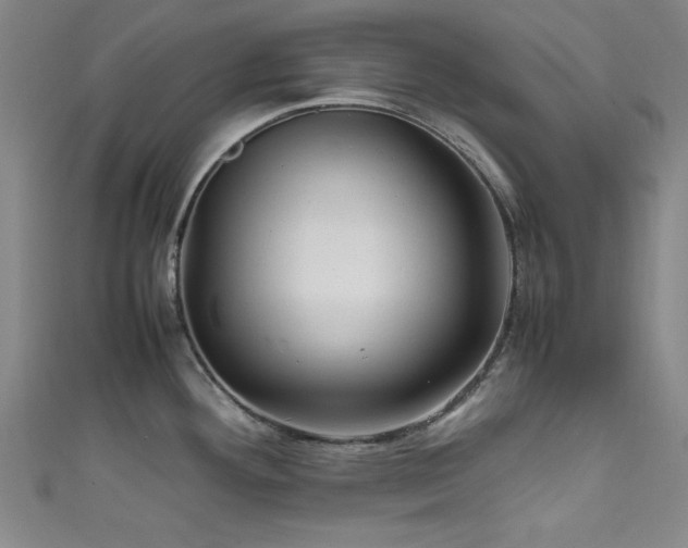X0000111601292200907161545