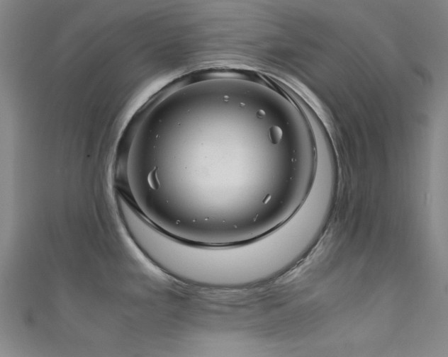 X0000111601293200907161545