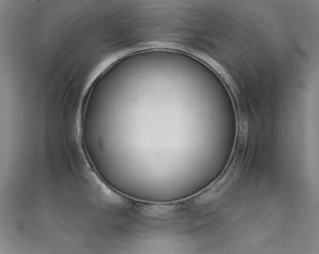 X0000111601294200907161545