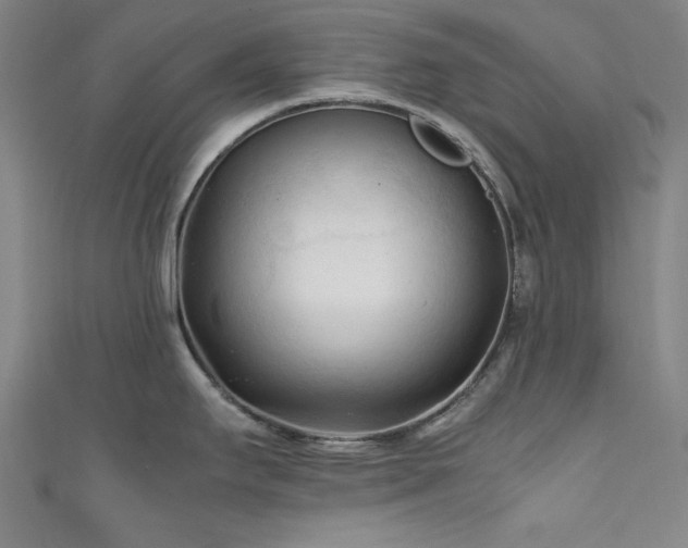 X0000111601295200907161545