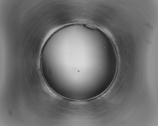 X0000111601296200907161545