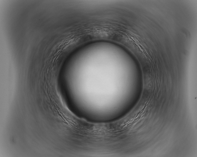 X0000111601297200907161545