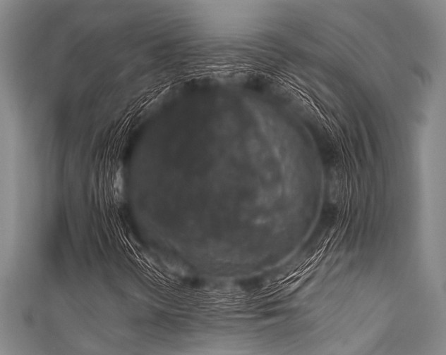 X0000111601298200907161545