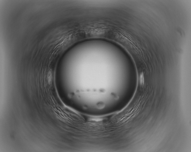 X0000111601299200907161545