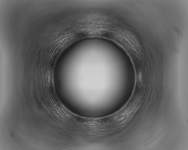 X0000111601300200907161545