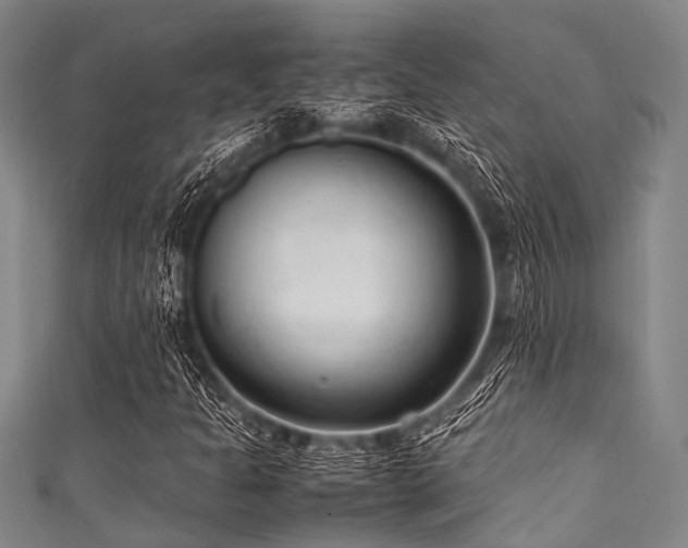 X0000111601301200907161545
