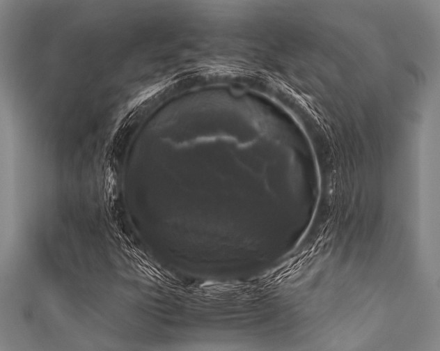 X0000111601303200907161545