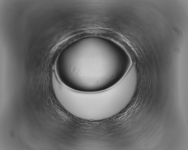 X0000111601304200907161545