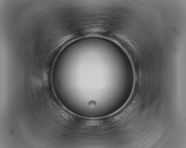 X0000111601305200907161545