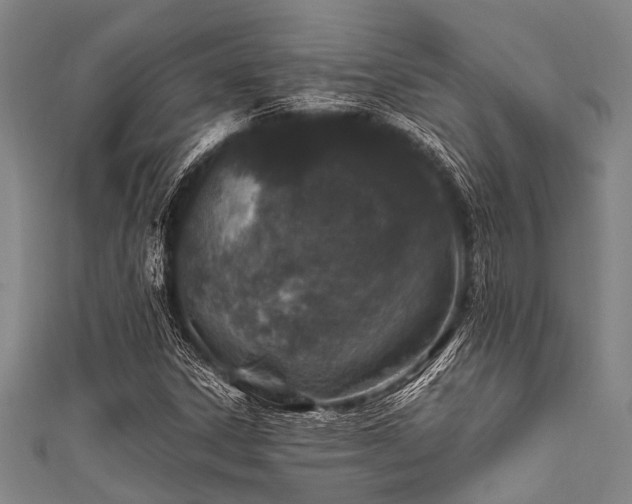 X0000111601306200907161545