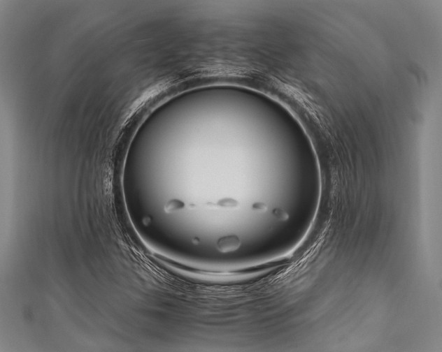 X0000111601307200907161545