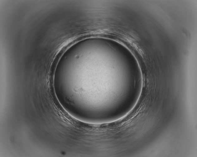 X0000111601308200907161545