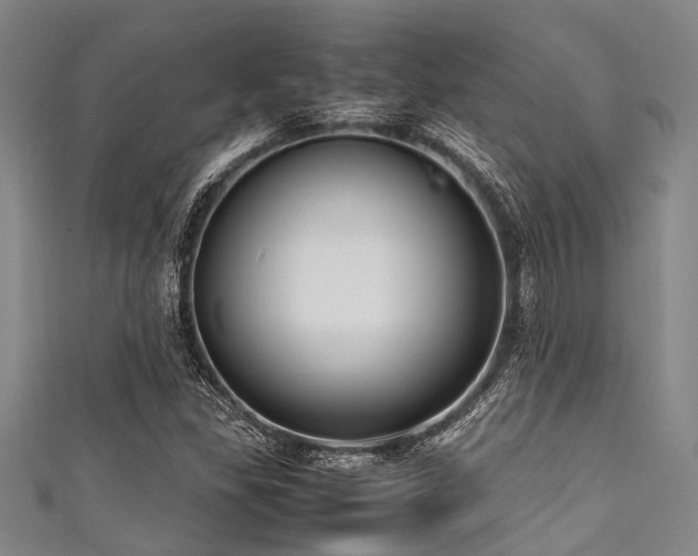X0000111601309200907161545