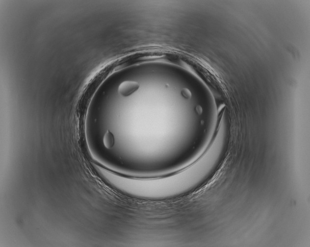 X0000111601310200907161545