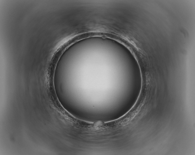 X0000111601311200907161545