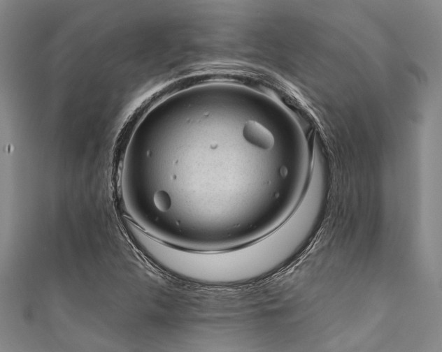 X0000111601312200907161545