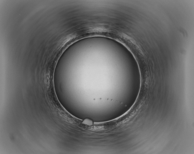 X0000111601313200907161545