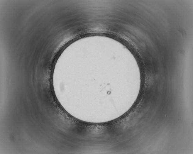 X0000111601314200907161545