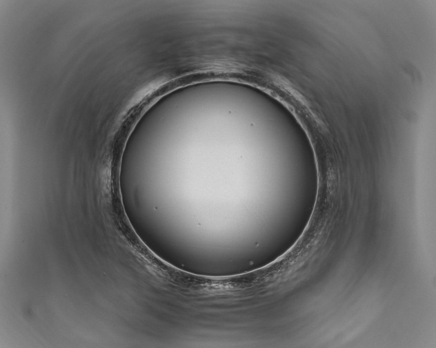 X0000111601315200907161545