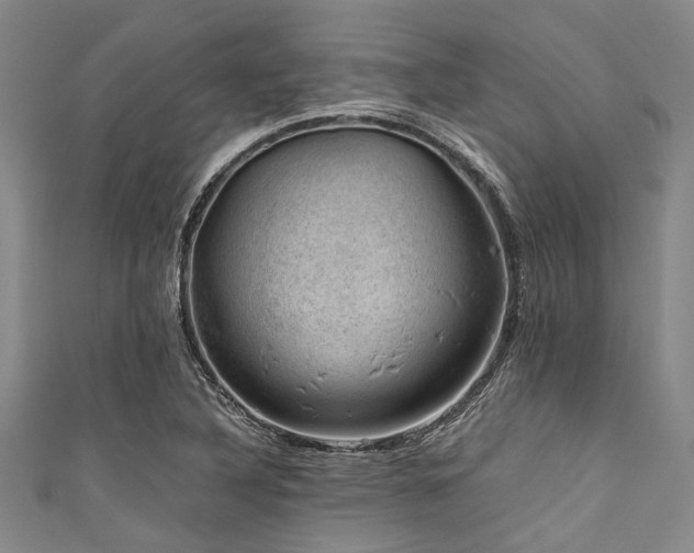 X0000111601316200907161545
