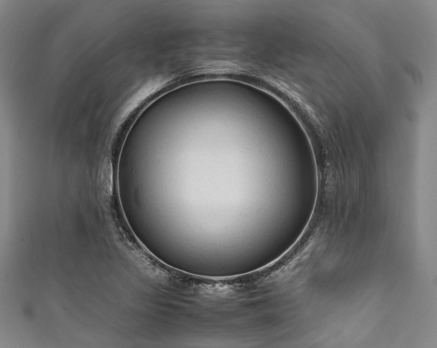 X0000111601317200907161545
