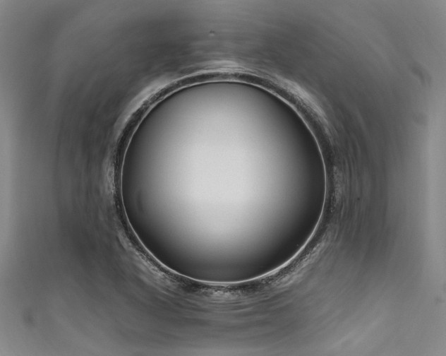 X0000111601318200907161545
