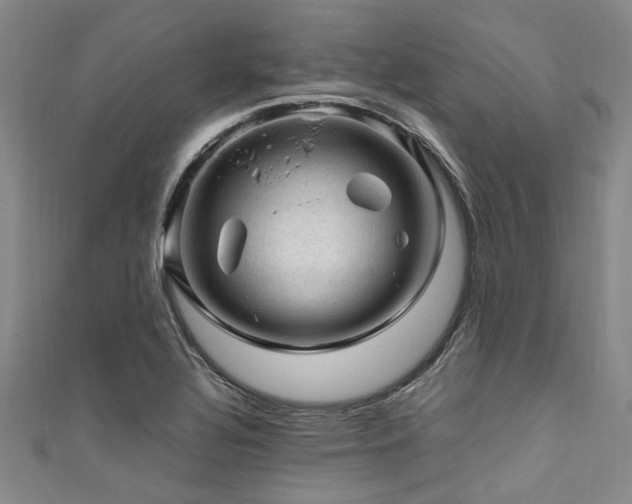 X0000111601320200907161545