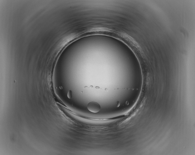 X0000111601321200907161545